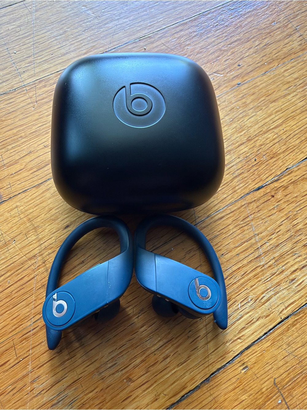 Beats by Dre Powerbeats Pro True Wireless Earbuds - Navy Blue